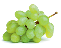 grapes-carrousel.png